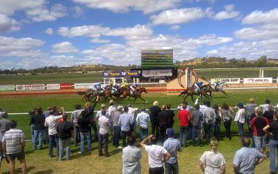 Two Stable Runners To Run At This Stage At Northam On Thursday