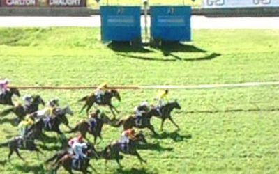 Bellaxena Finishes Off Nicely In Return