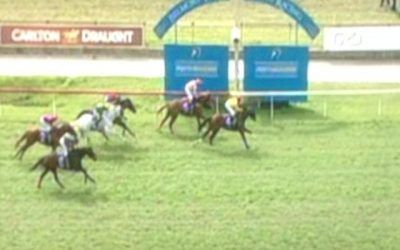 Raising Dubai Finishes Third at Belmont