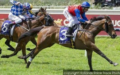 Raising Dubai To Contest Staying Race At Belmont