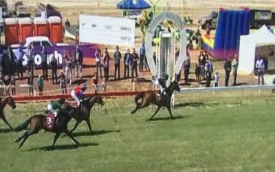 Island Wedding Finishes Second At Toodyay Race Meeting