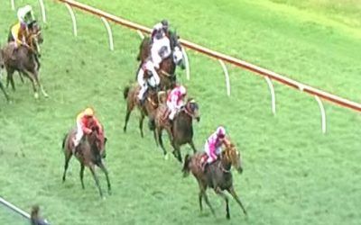 Dynamic Boy Finishes Second At Northam