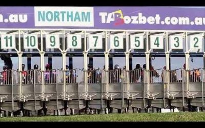 Three Stable Runners For The Team At Northam On Sunday