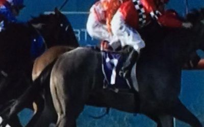 Another Solid Effort By Mad Brad At Belmont