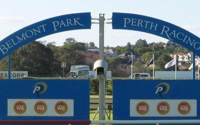 Stable Runners For Belmont On Saturday