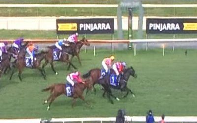 Dynamic Boy Solid At Pinjarra