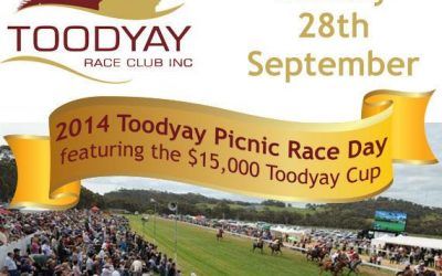 Three Stable Runners To Compete At Toodyay-Northam meeting On sunday