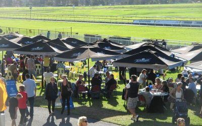 Three Stable Runners To Contest For The Prize At Belmont Wednesday