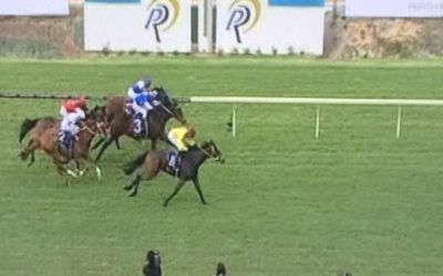 Solid Return For Don’tgetcaught  At  Ascot