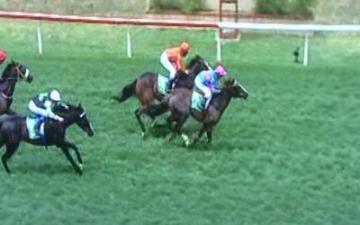 Bellaxena Goes Down Narrowly At Northam