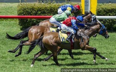 Vampi Lass Returns From A Break At Ascot On Wednesday