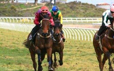 Lark Hill Amateur Racing Club: Stable Results From Trials On Monday