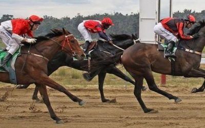 The Stable To Support Country Racing At Collie On Saturday