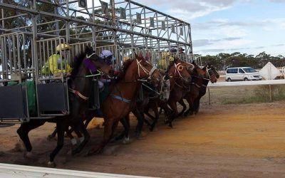Three Stable Runners Head To Moora On Saturday
