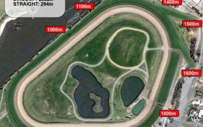 The Team Heads To Ascot On Saturday With Three Runners