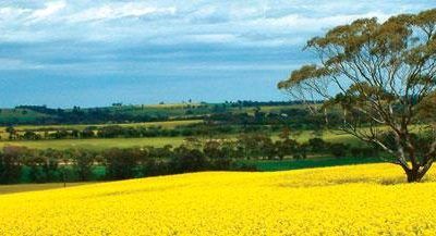 The Stable To Support Racing At Narrogin On Friday