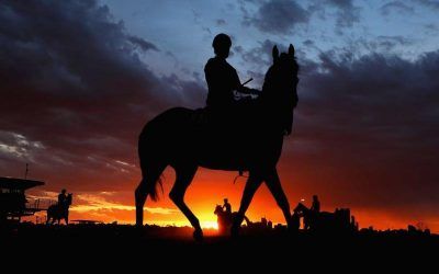 Trial Results For The Stable At Lark Hill On 17th November