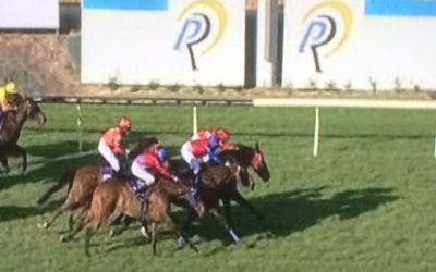 Stable-Mates Place In The Last At Ascot