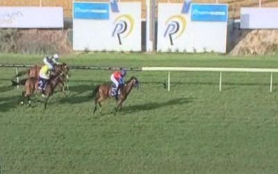 Vampi Lass Looks The Goods At Ascot