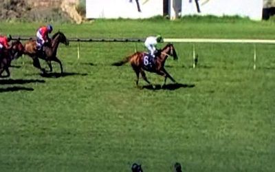 Vital Edition Puts In A Nice Effort To Finish 2nd In The Fourth At Ascot