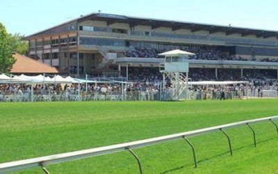 Ascot Stable Runners For Saturday The 13th Of December