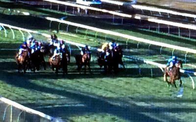 Don’tgetcaught Finishes 3rd In The Last At Bunbury