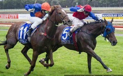 Don’tgetcaught To Compete at Pinjarra On Friday