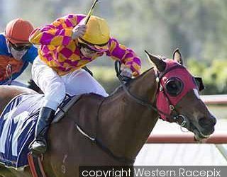 Danablue Sizzles At Bunbury
