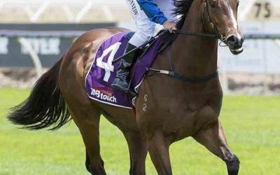 Blinkers To Go On Chanzig
