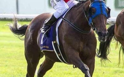 Don’tgetcaught To Return To Pinjarra Park On Sunday