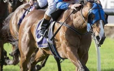 Vampi Lass Takes Out The La Trice Classic