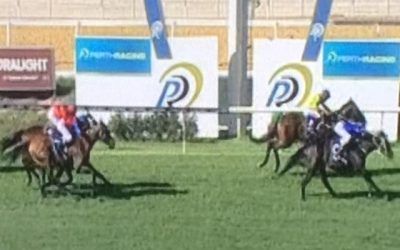 Mad Brad Finishes 3rd At Ascot