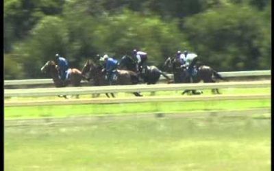 Belmont Trial Results For Ben Pearce Racing