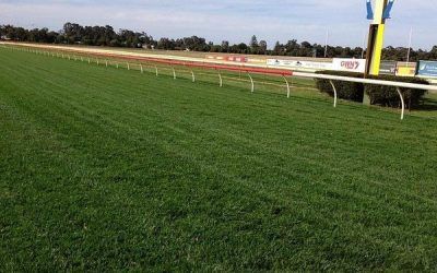 Roman Fighter To Run At Bunbury On Wednesday