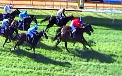 Mad Brad Takes Out The Batavia Sprint