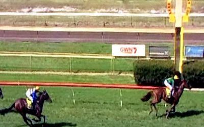 Roman Fighter Swoops In To Land The Prize At Bunbury