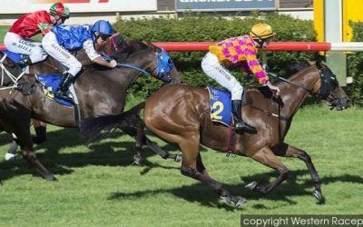 Danablue Creates Outside Interest In Bunbury Stakes
