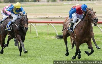 Lady Natesa Goes Back To Back After City Win At Ascot