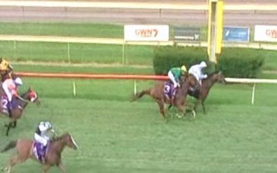Roman Fighter Runs A Nice Race First Time Out