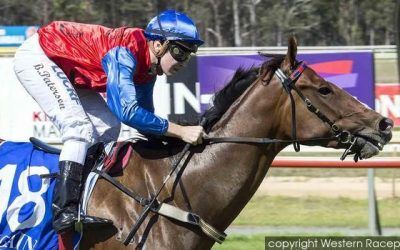 Bomber Bay To Compete At Ascot