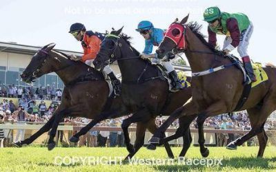 Lady Natesa To Run At Bunbury Wednesday
