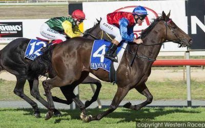 Beinn Nibheis To Compete At Bunbury On Wednesday