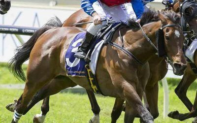 Raising Dubai To Compete At Belmont On Saturday