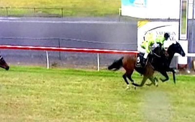 When In Roan Makes It 2 From 2 At Narrogin
