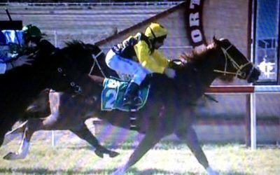 Bal Amour Digs Deep To Finish 2nd At Northam