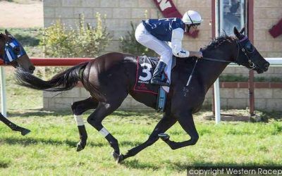 Forbidden Planet Heads To Metro Racing At Belmont On Wednesday