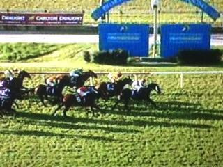 Mad Brad Finishes 3rd In The Beaufine Listed