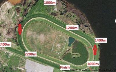 A Big Day Out For The Stable At Belmont On Saturday