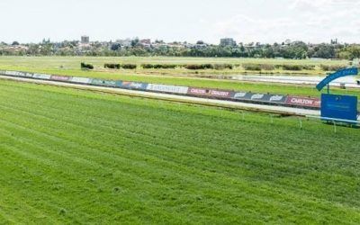 The Team To Saddle Up Raising Dubai & Vital Edition To Belmont On Saturday
