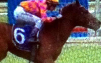 Le Patron Brilliant On Debut